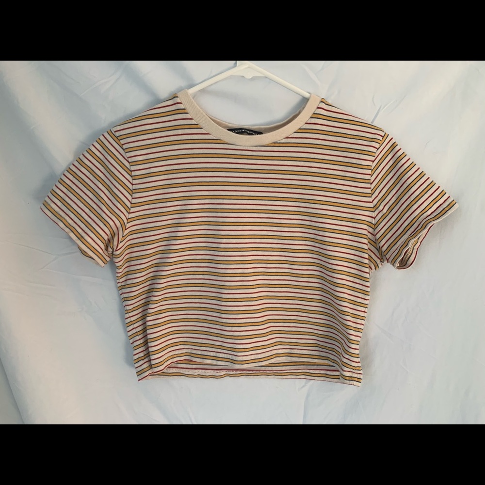 Brandy Melville Cropped T-Shirt
